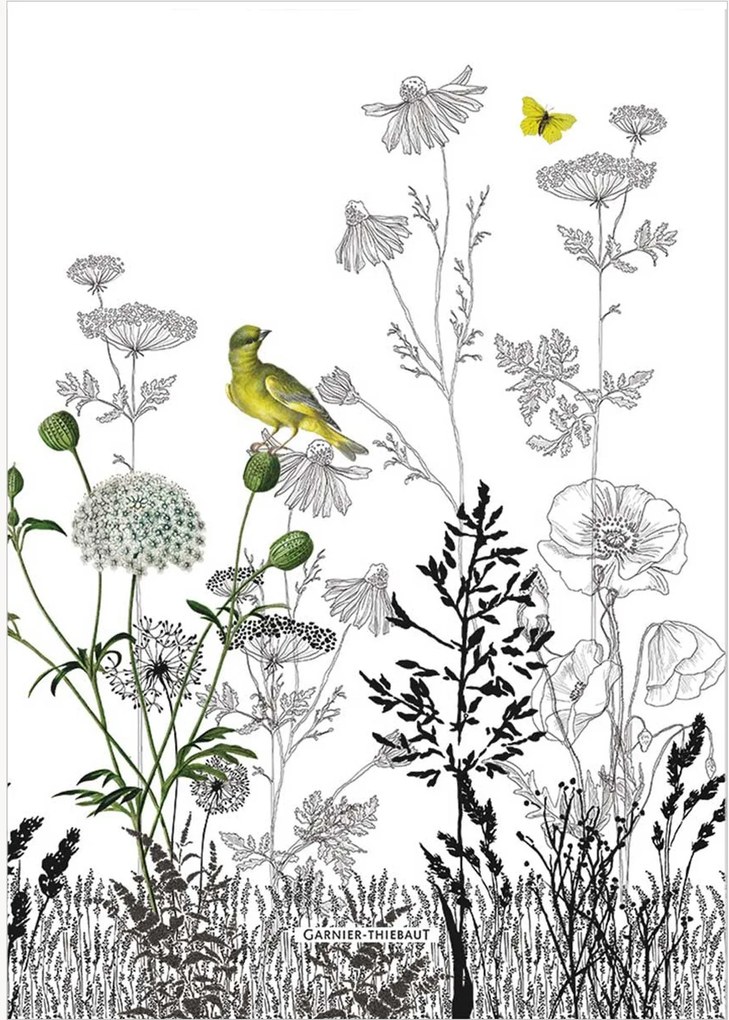 Panos de cozinha Escapades Printemps, conjunto de 4