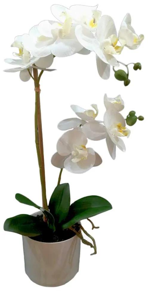 Vaso Orquidea Phalaenopsis JOM 650900000701