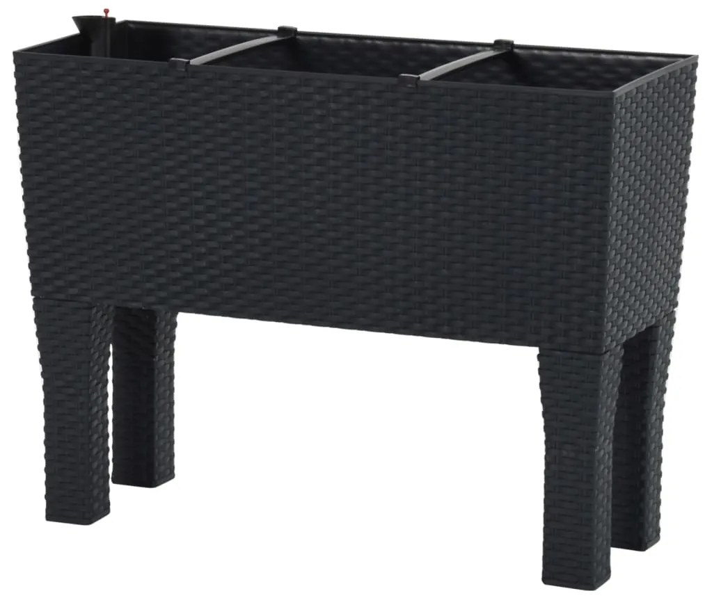 Canteiro de jardim elevado 60x25x46 cm vime PP antracite