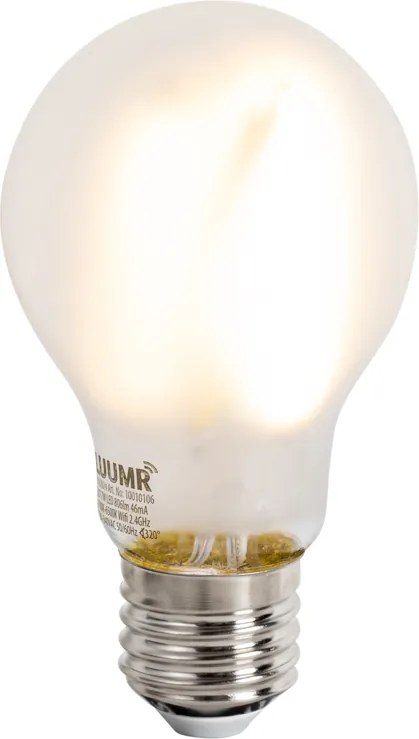Candeeiro de pé inteligente preto com dourado incl. Wifi A60 - Lofty