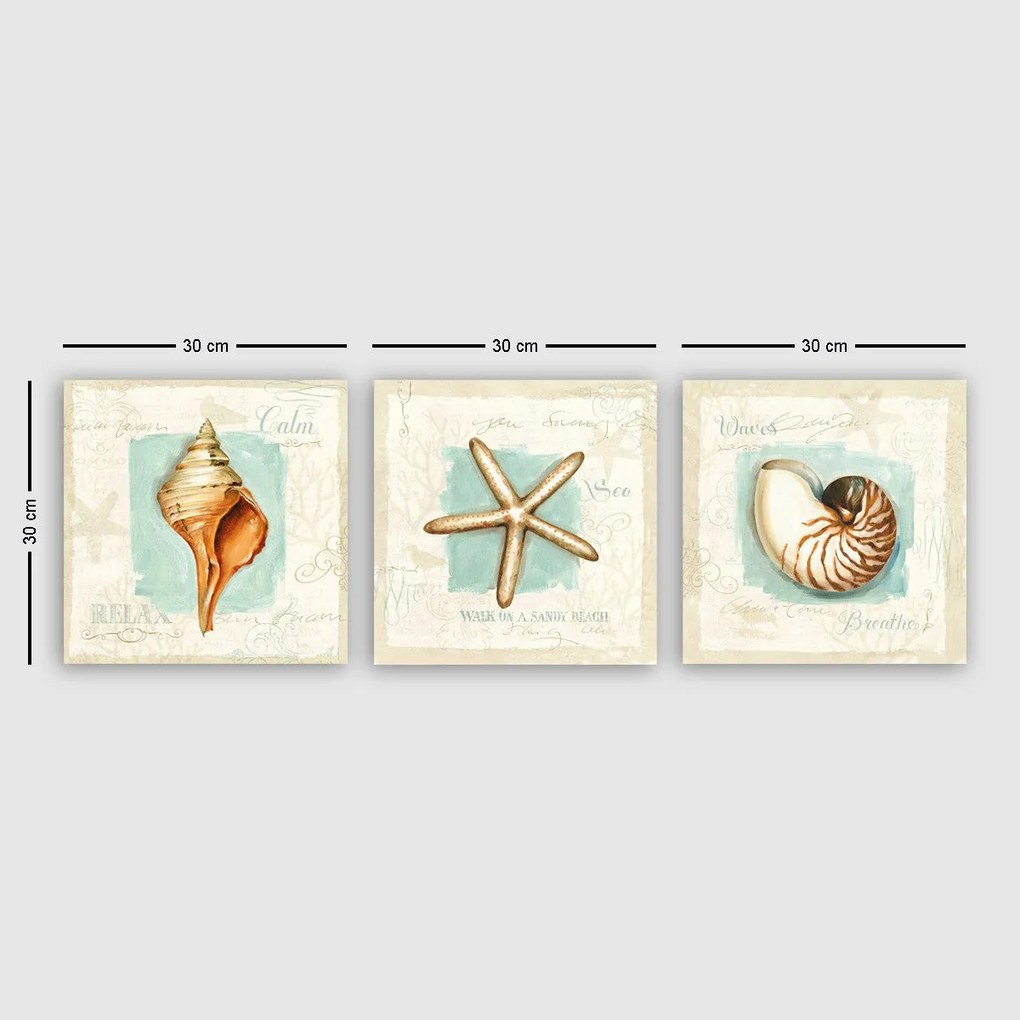 Quadro Decorativo Canvas pmdr44 – Multicolor – 30 x 30 cm (3 Peças)
