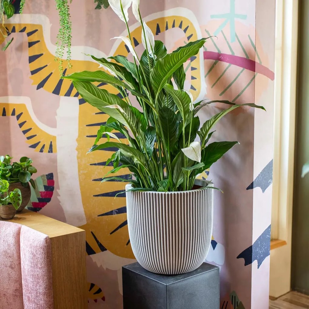 Vaso Groove 43x41 cm marfim