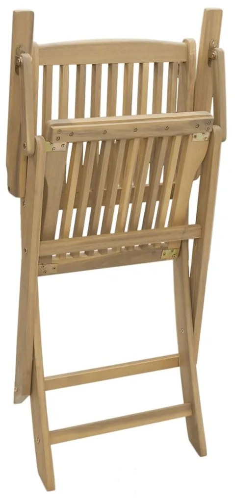 Cadeiras de jardim dobráveis 2 pcs 58x54,5x90 cm acácia maciça