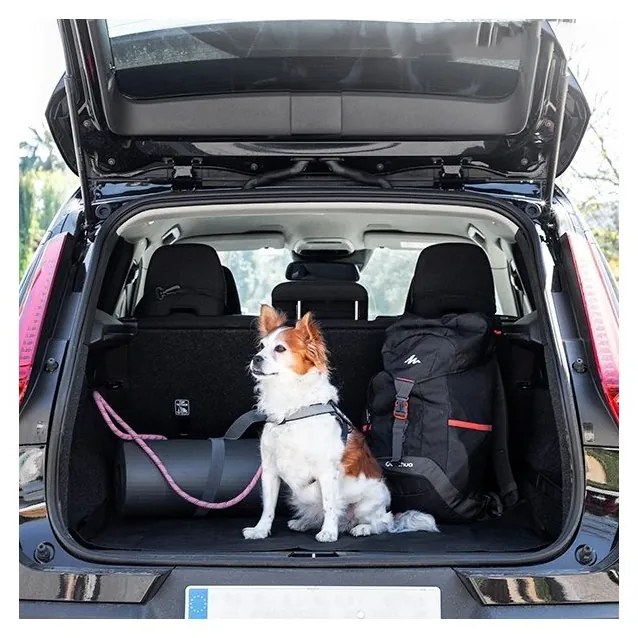 Capa de Banco de Carro Individual para Cão