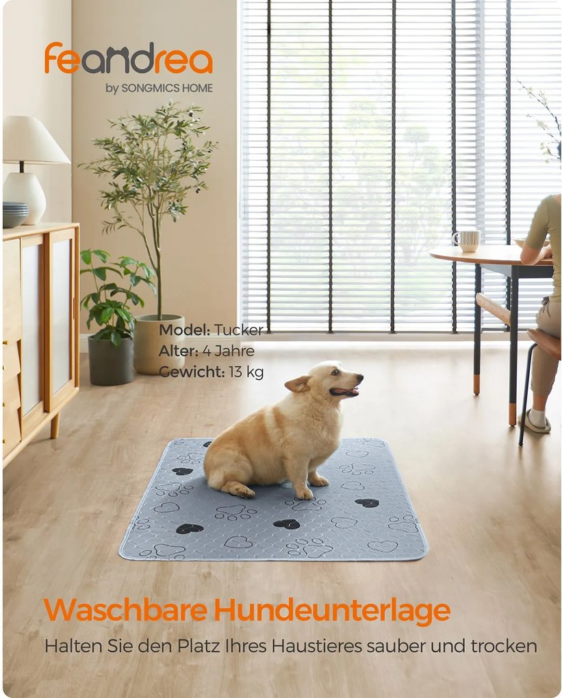 Conjunto de 2 Tapetes laváveis para cães 122 x 91 cm cinzento