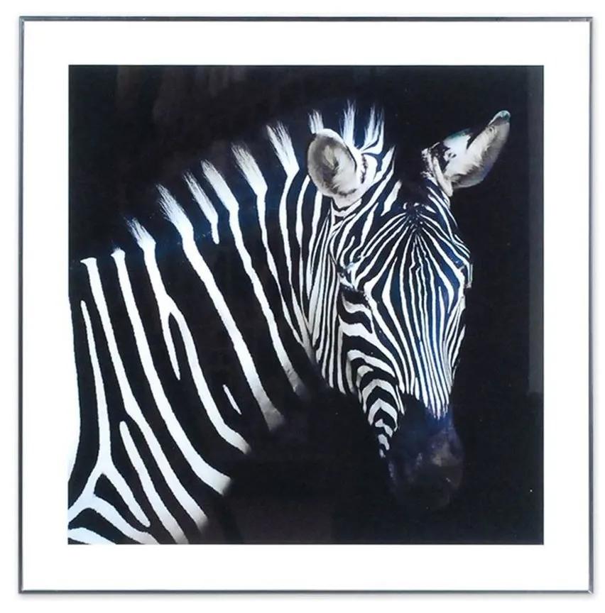 Quadros, telas Signes Grimalt  Pintura De Zebra