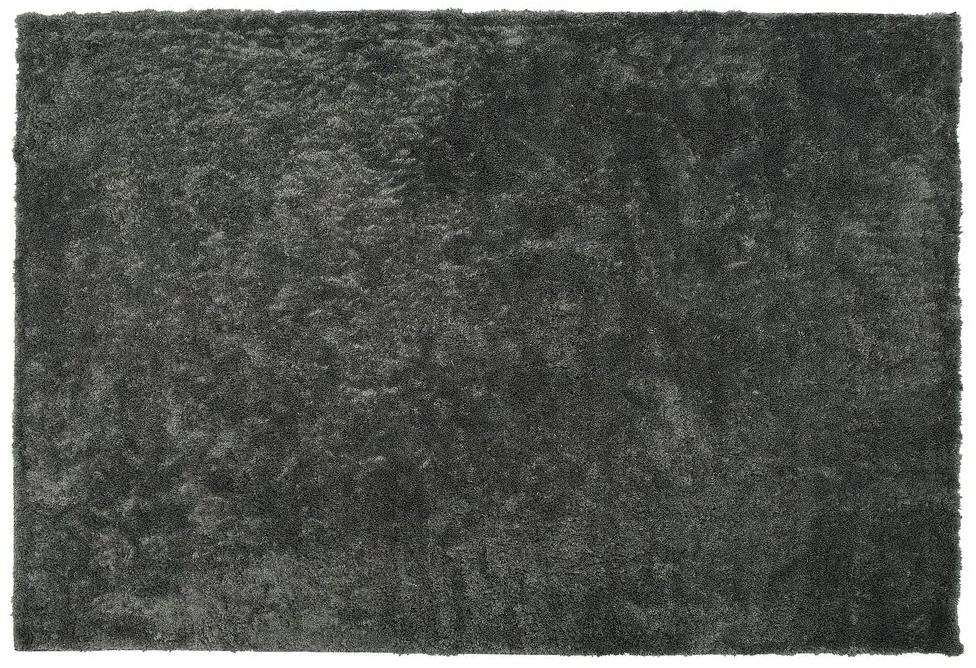 Tapete cinzento escuro 200 x 300 cm EVREN Beliani