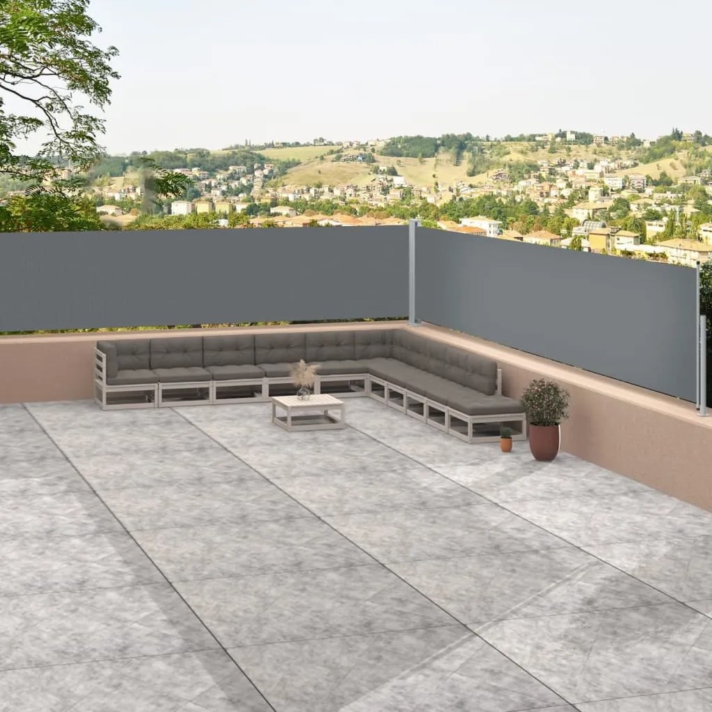 vidaXL Toldo lateral retrátil 117x1200 cm antracite
