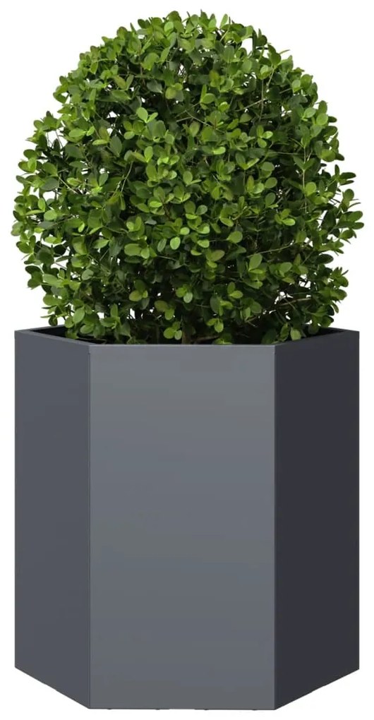 Vasos floreiras jardim 2 pcs hexagonal 46x40x45cm aço antracite