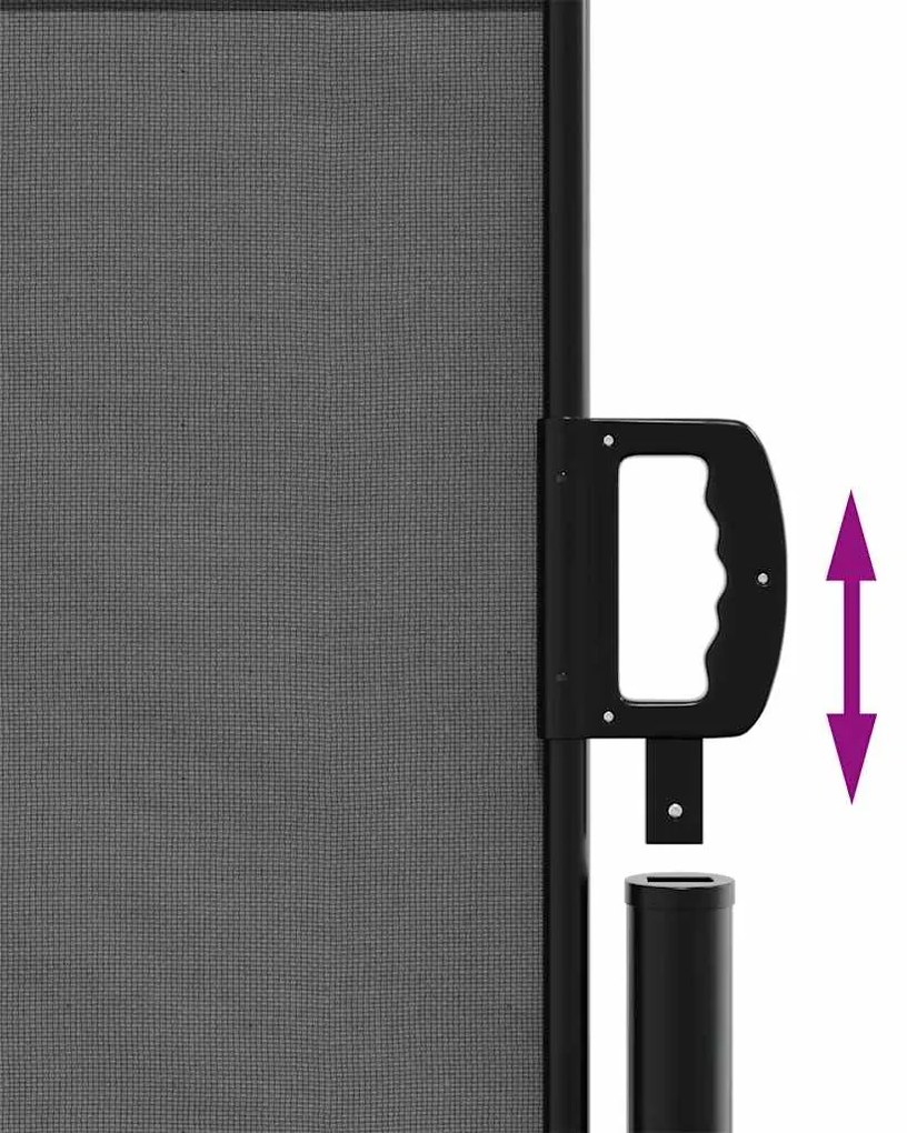 Toldo lateral retrátil 140x600 cm antracite