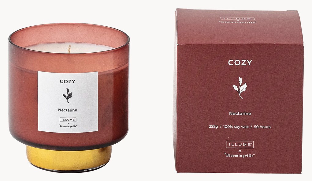 Vela perfumada Cozy (nectarina & ameixa escura)
