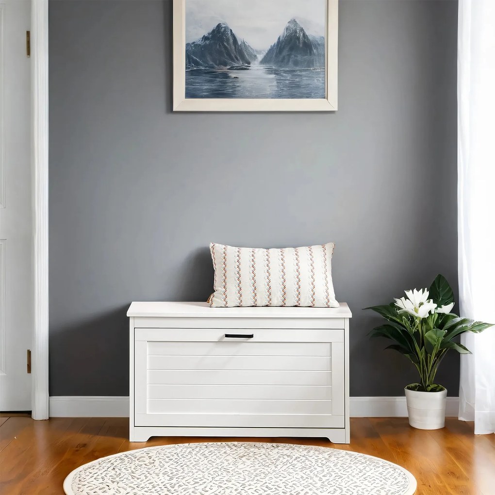 Sapateira com tampa 80 x 30 x 46 cm (C x L x A) Branco