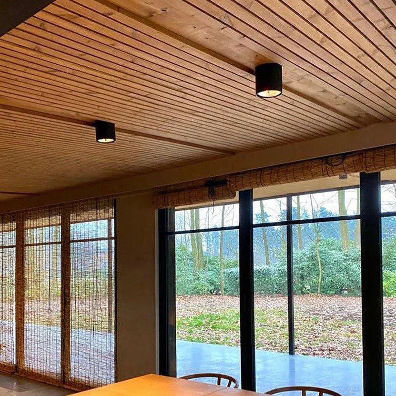 Projetores de design preto AR111 - Impact