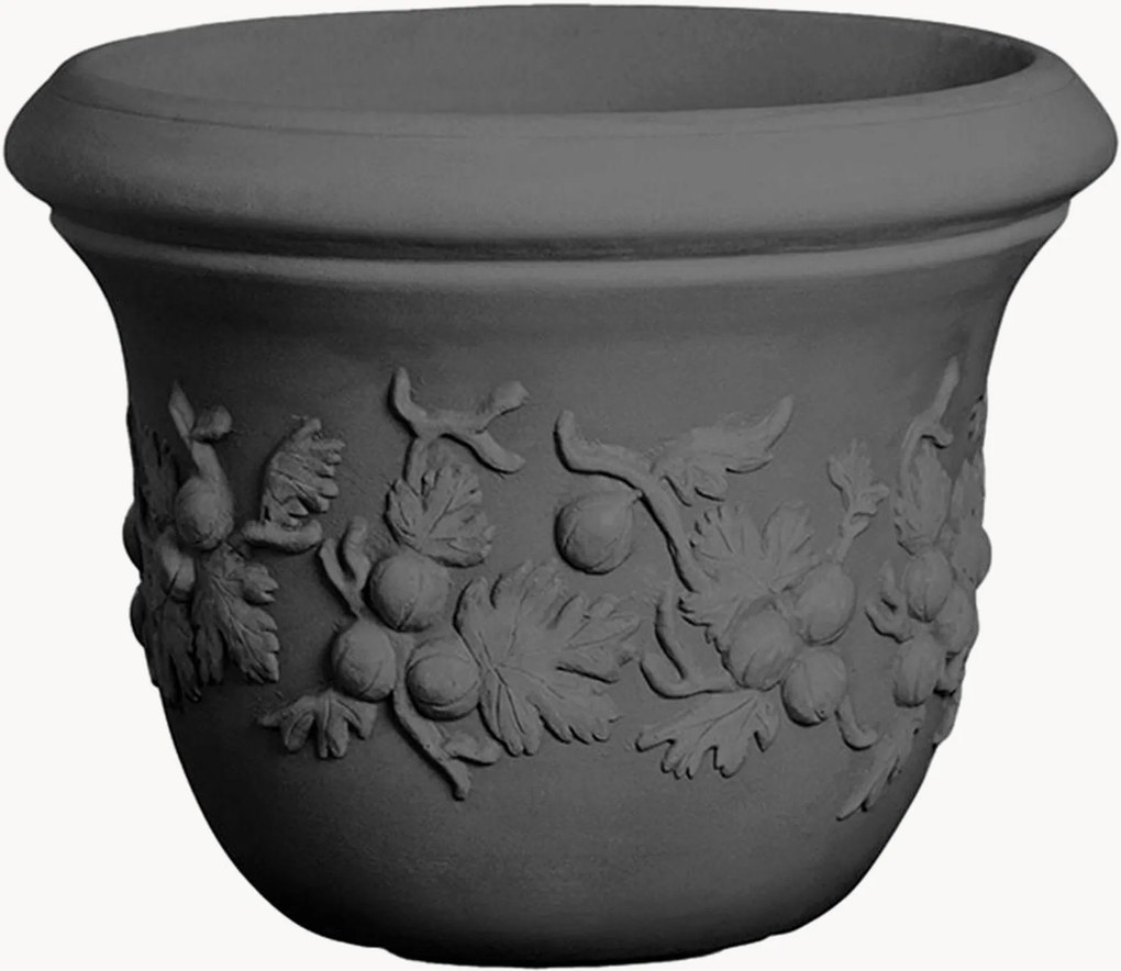 Vaso Uva Spina