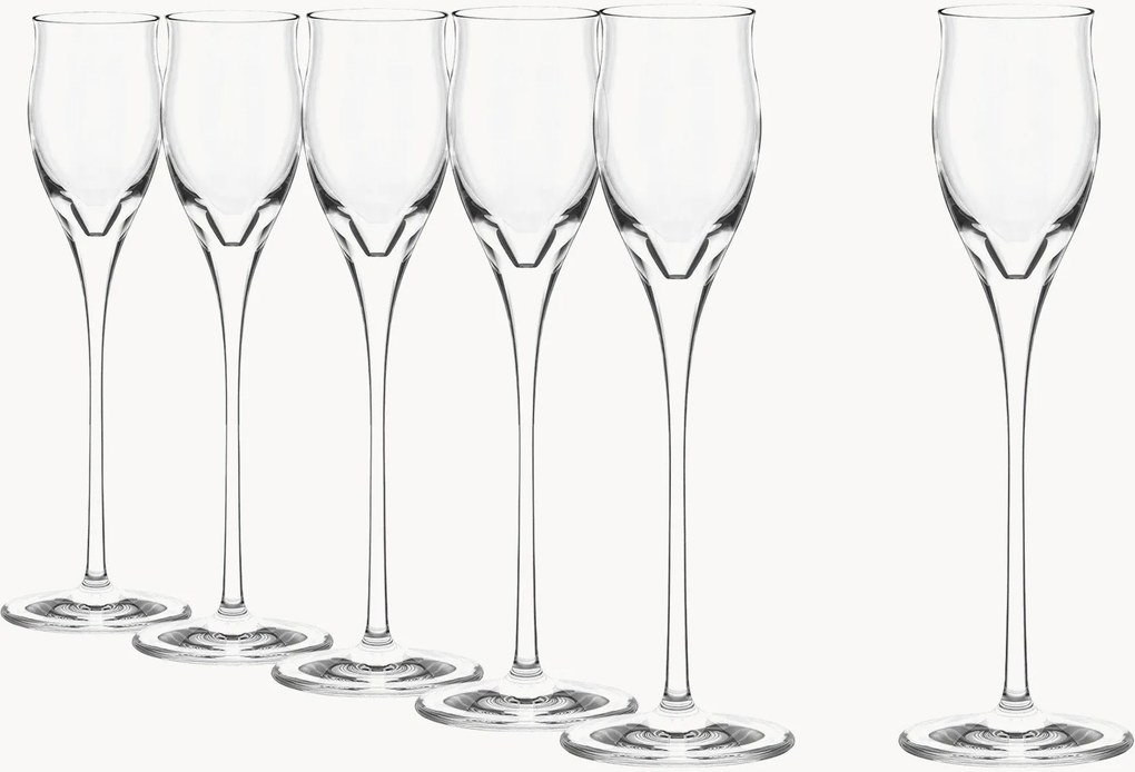 Copos de grappa Quatrophil, conjunto de 6