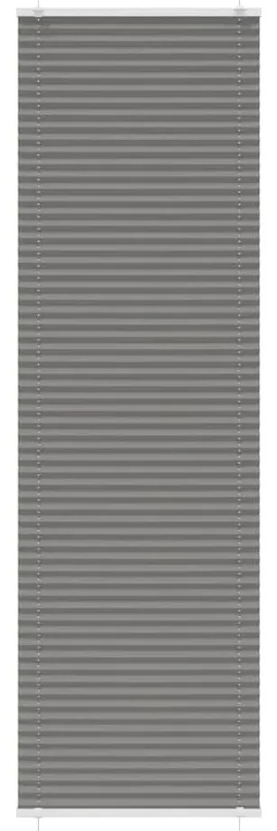 vidaXL Antracite Plissada Cega 55x200 cm Largura Tecido 54,4 cm