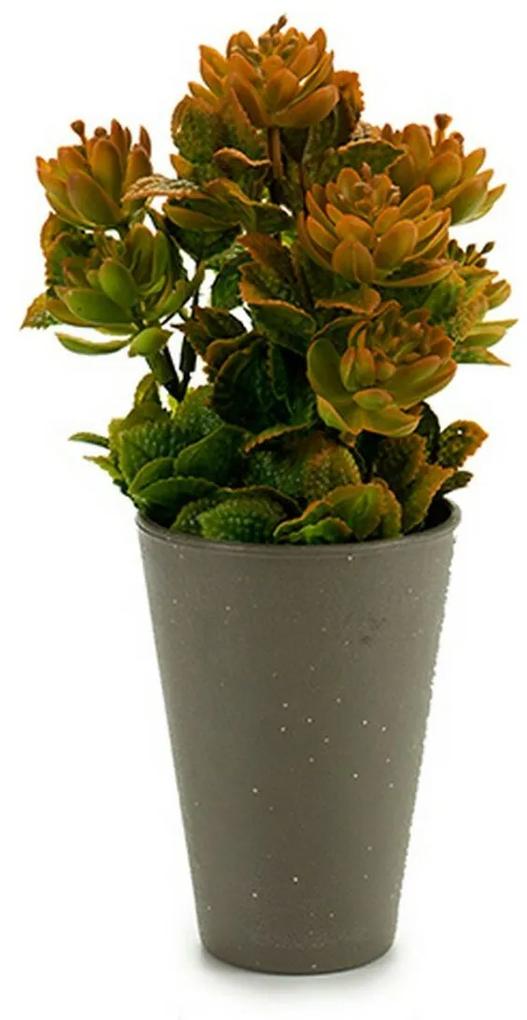 Planta Decorativa Cinzento Plástico (10 x 22 x 10 cm)