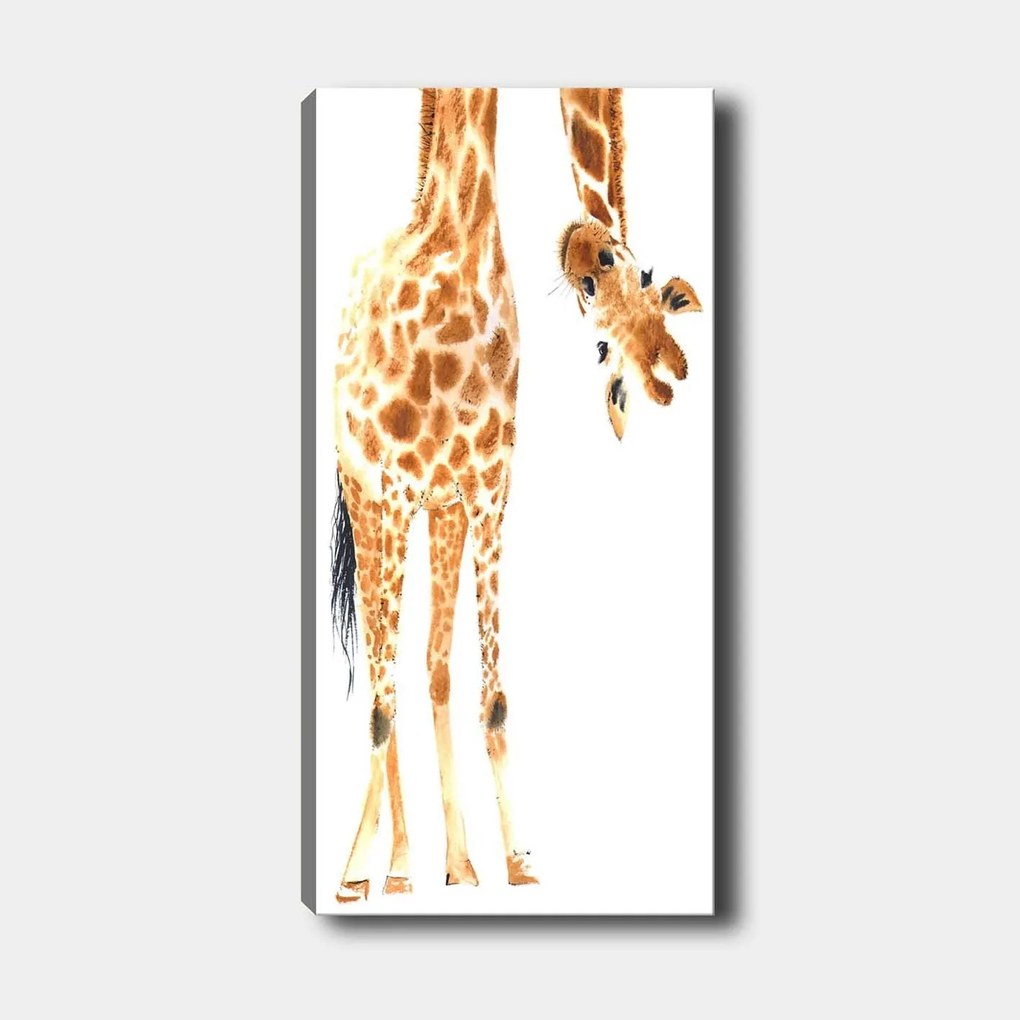 Pintura Decorativa em Tela DKY2589411454_50120 – Multicolor – 50 x 120