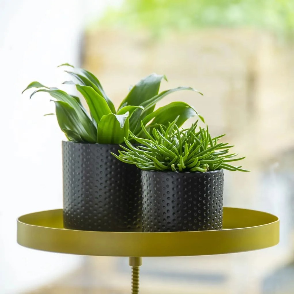 Esschert Design Tabuleiro p/ plantas redondo com braçadeira L dourado