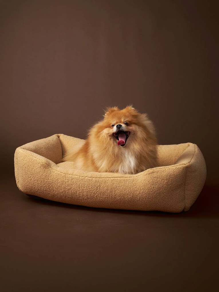 Cesto acolchoado Family, para animal de companhia bege-argila