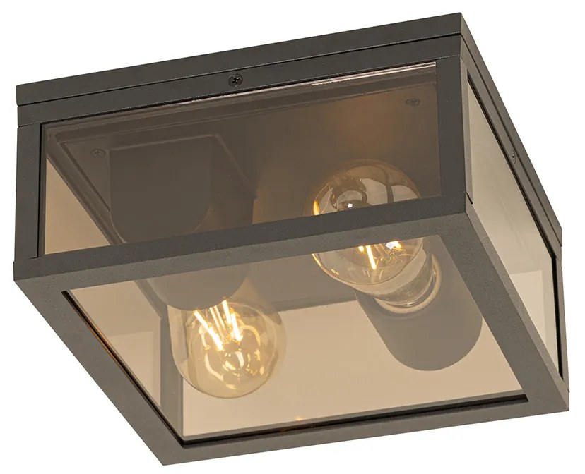Candeeiro de teto preto com vidro fumê 2 luzes IP44 - Charlois Moderno