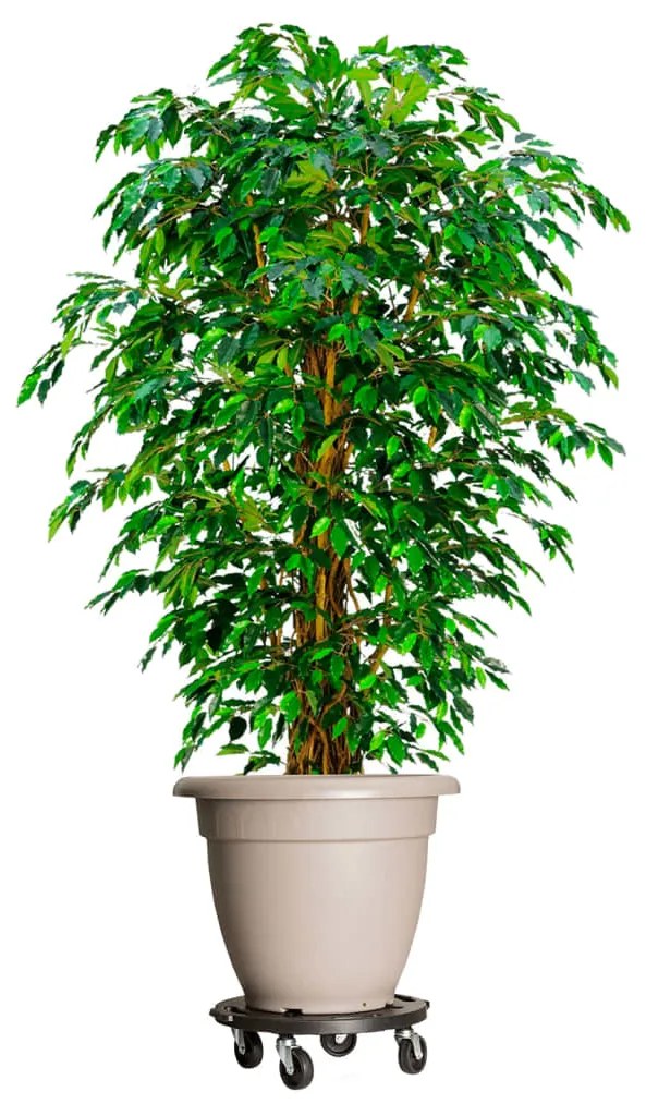 Carrinho de plantas com rodas 2 pcs diâmetro 40 cm 275 kg preto