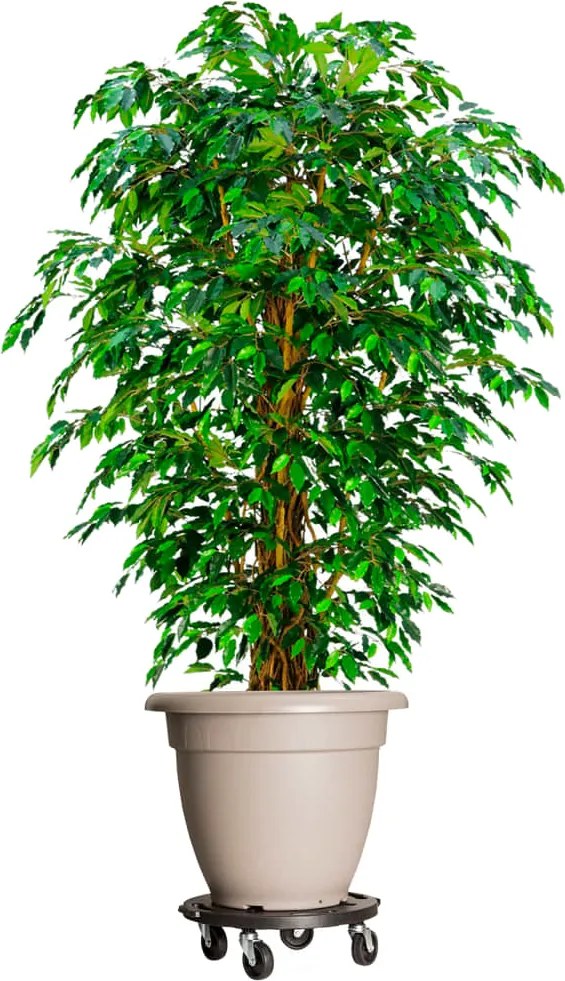 vidaXL Carrinho de plantas com rodas 2 pcs diâmetro 40 cm 275 kg preto