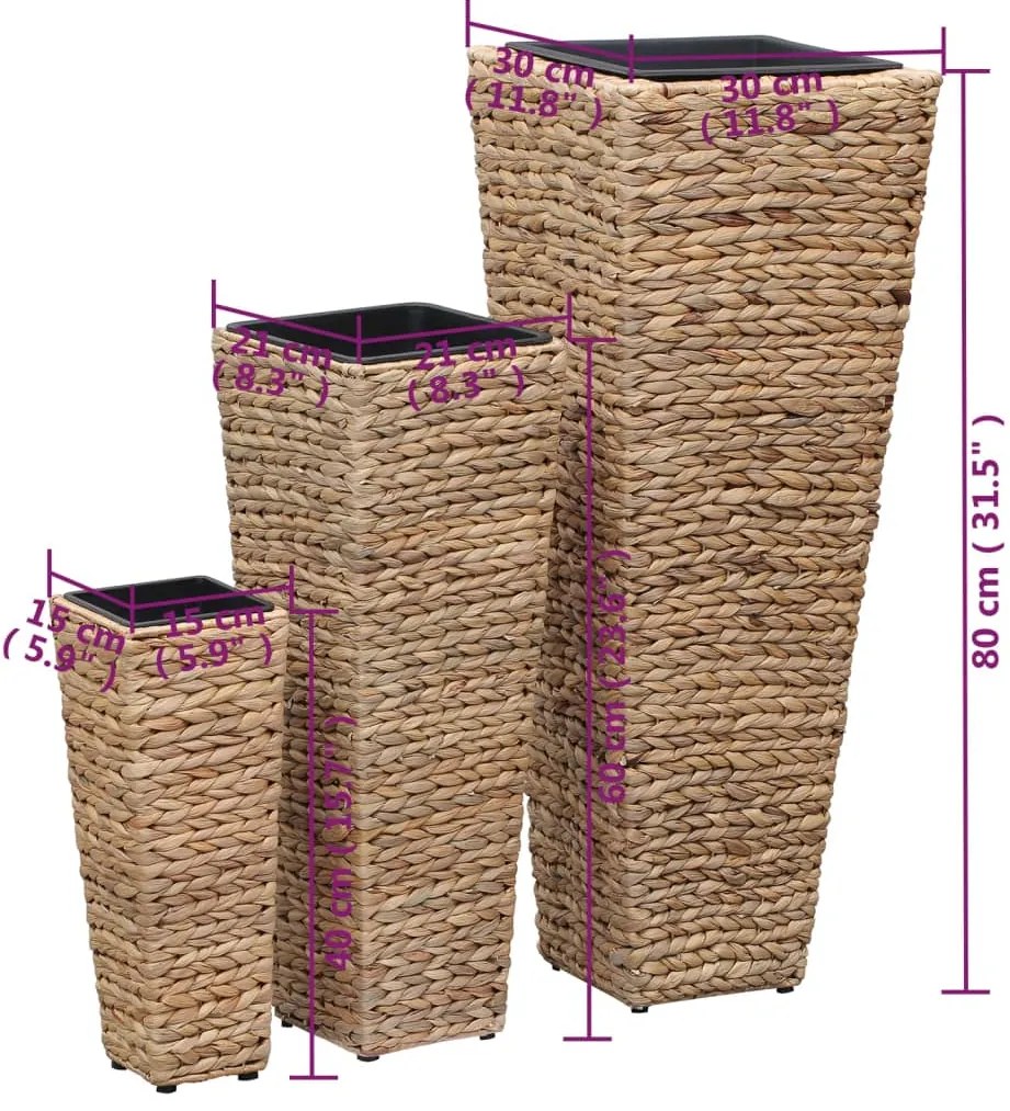 Vasos/floreiras 3 pcs jacinto de água castanho