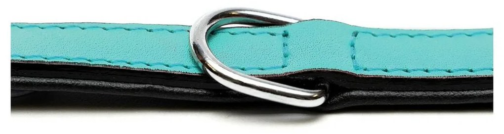 Coleira para Cães Gloria Acolchoado Turquesa (30 x 1,5 cm)