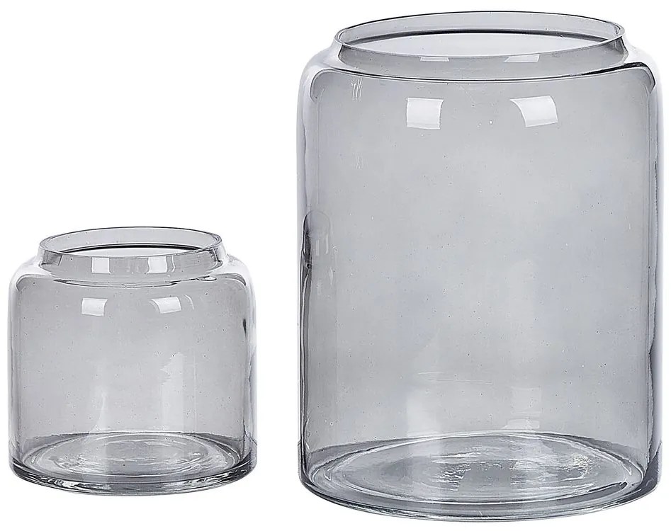 Conjunto de 2 vasos de vidro cinzento claro RASAM Beliani