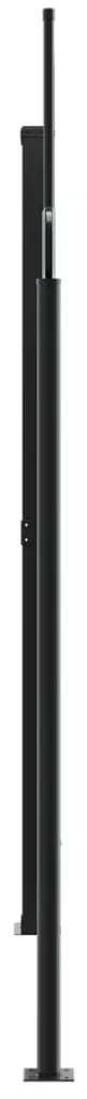 Toldo lateral retrátil 220x1200 cm preto