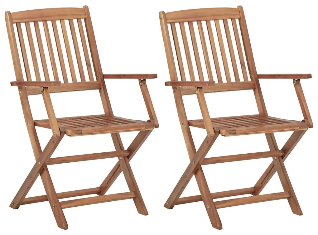 313601 vidaXL Cadeiras de jardim dobráveis 2 pcs madeira acácia maciça