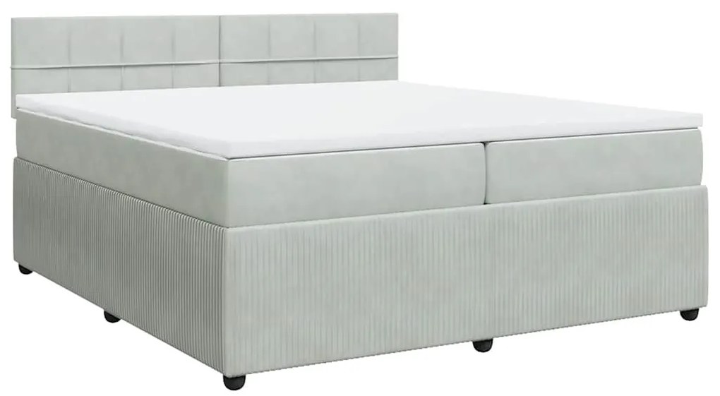 Cama com molas/colchão 200x200 cm veludo cinzento-claro