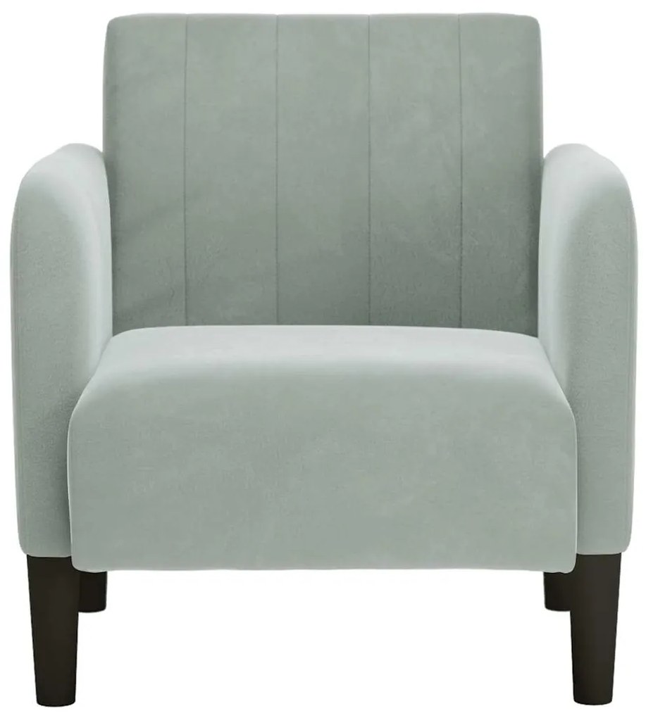 Poltrona com apoio de braços 54 cm veludo cinzento-claro