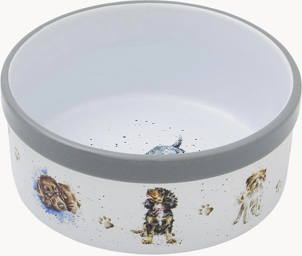 Taça para animais de estimação Dog