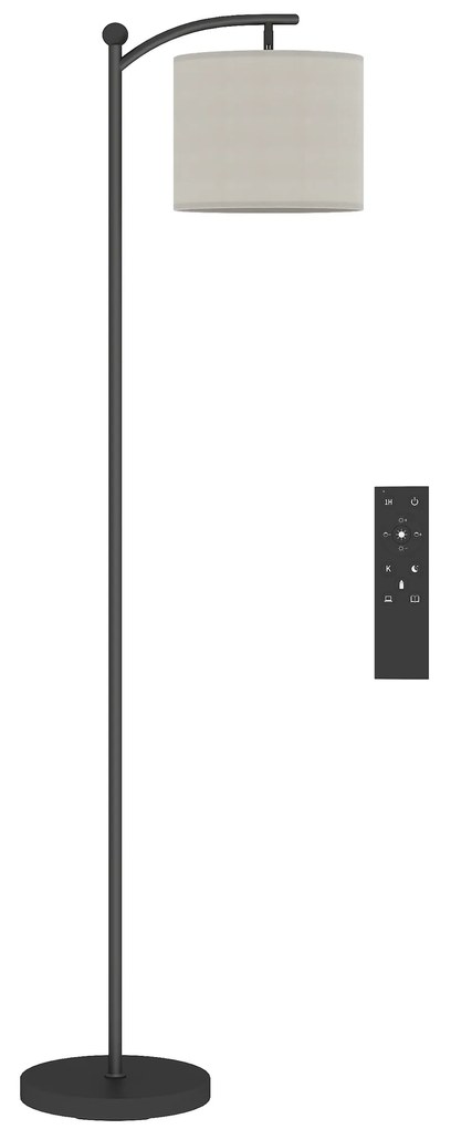 HOMCOM Candeeiro de Pé com Temperatura de Cor de Ajuste Contínuo 11 Níveis Comando à Distância Temporizador de 60 Minutos 54,3x30,6x159,6 cm Preto