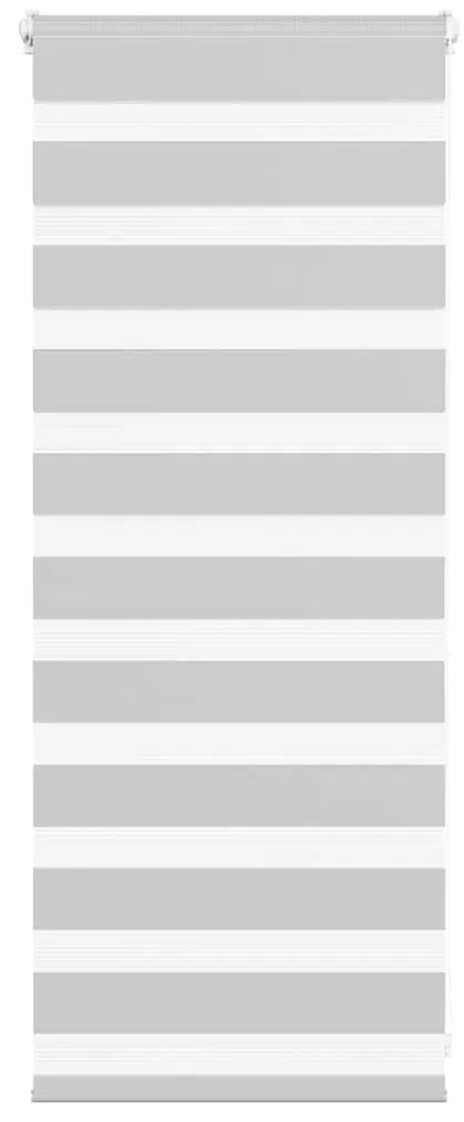 vidaXL Cortina de zebra 55x100 cm largura do tecido 50,9 cm poliéster
