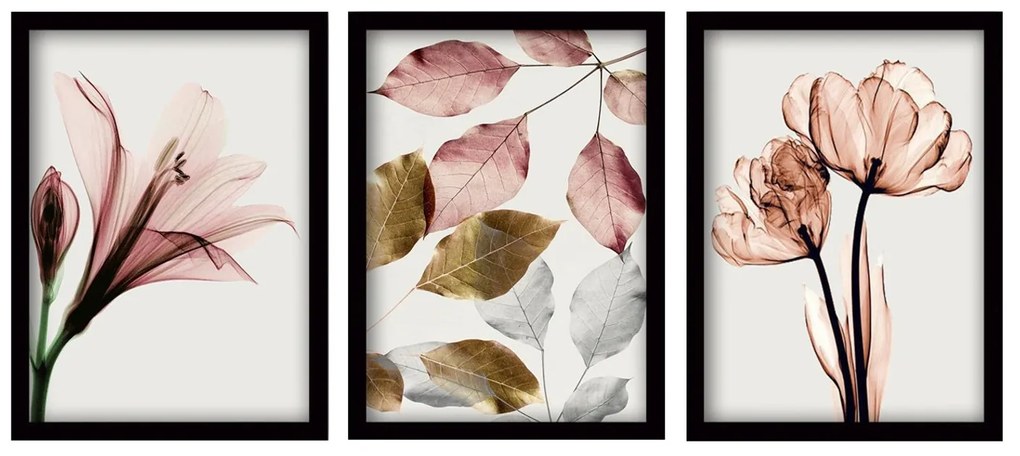 Pintura Decorativa com Moldura (3 Peças) 3SC194 – Multicolor – 35 x 45