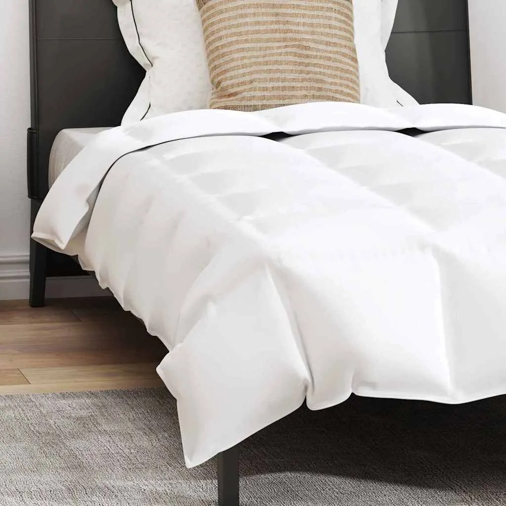 Edredão com travesseiro 2 pcs Branco 155 x 200 cm Penugem