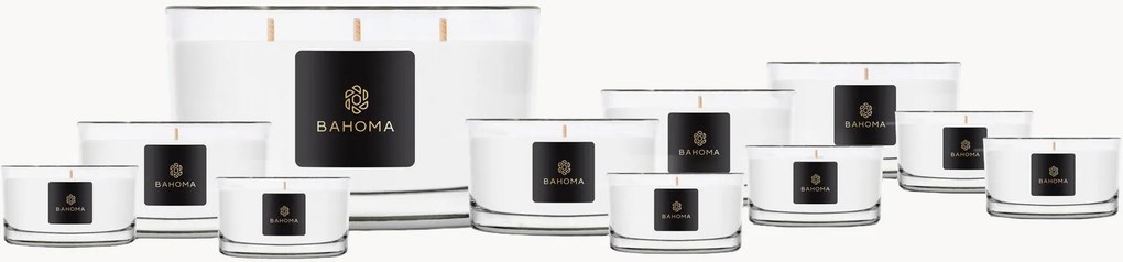 Velas perfumadas artesanais Everlasting (flor de Portofino) - conjunto de 11