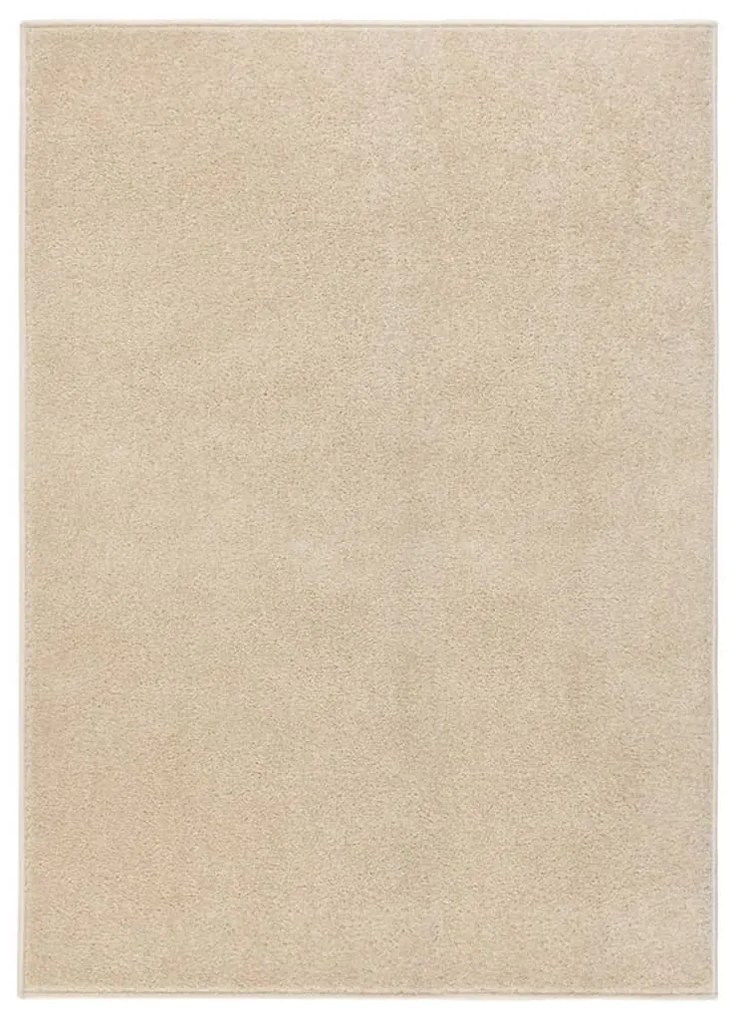 340331 vidaXL Tapete de pelo curto 120x170 cm bege