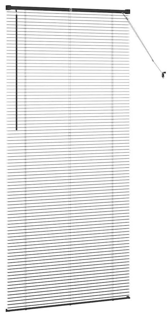 Persiana de Janela com cortinas Outros Manual Preto 100 x 220 cm Alumí