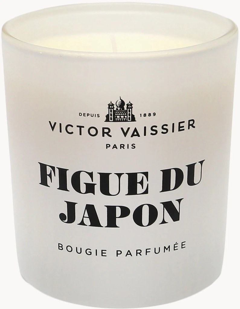Vela perfumada Figue Du Japon (figo preto e vetiver)