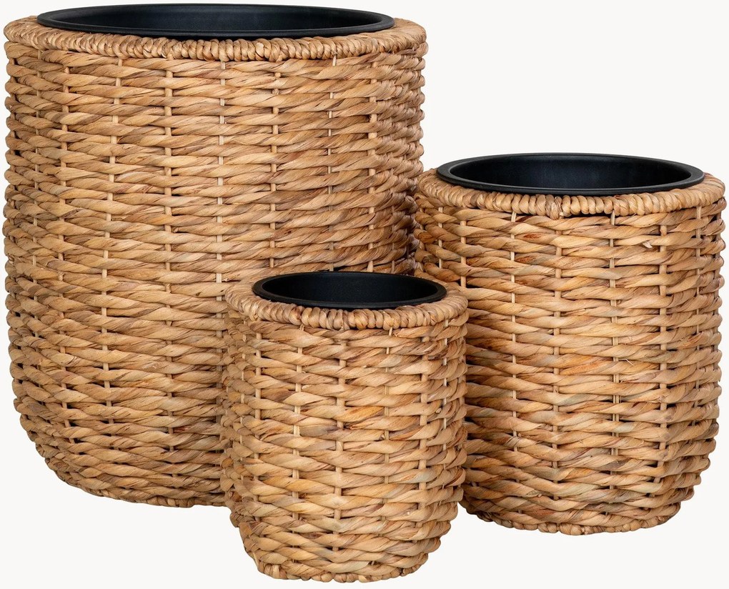 Vasos em jacinto-de-água Hanoi, conjunto de 3