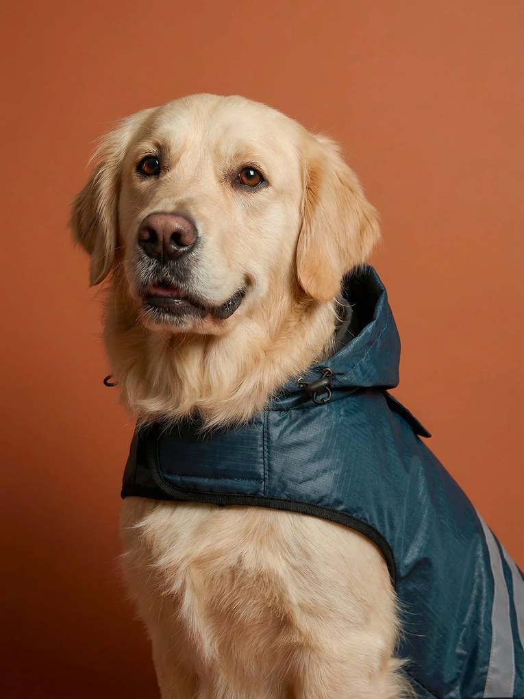 Casaco impermeável, para cão azul-ardósia