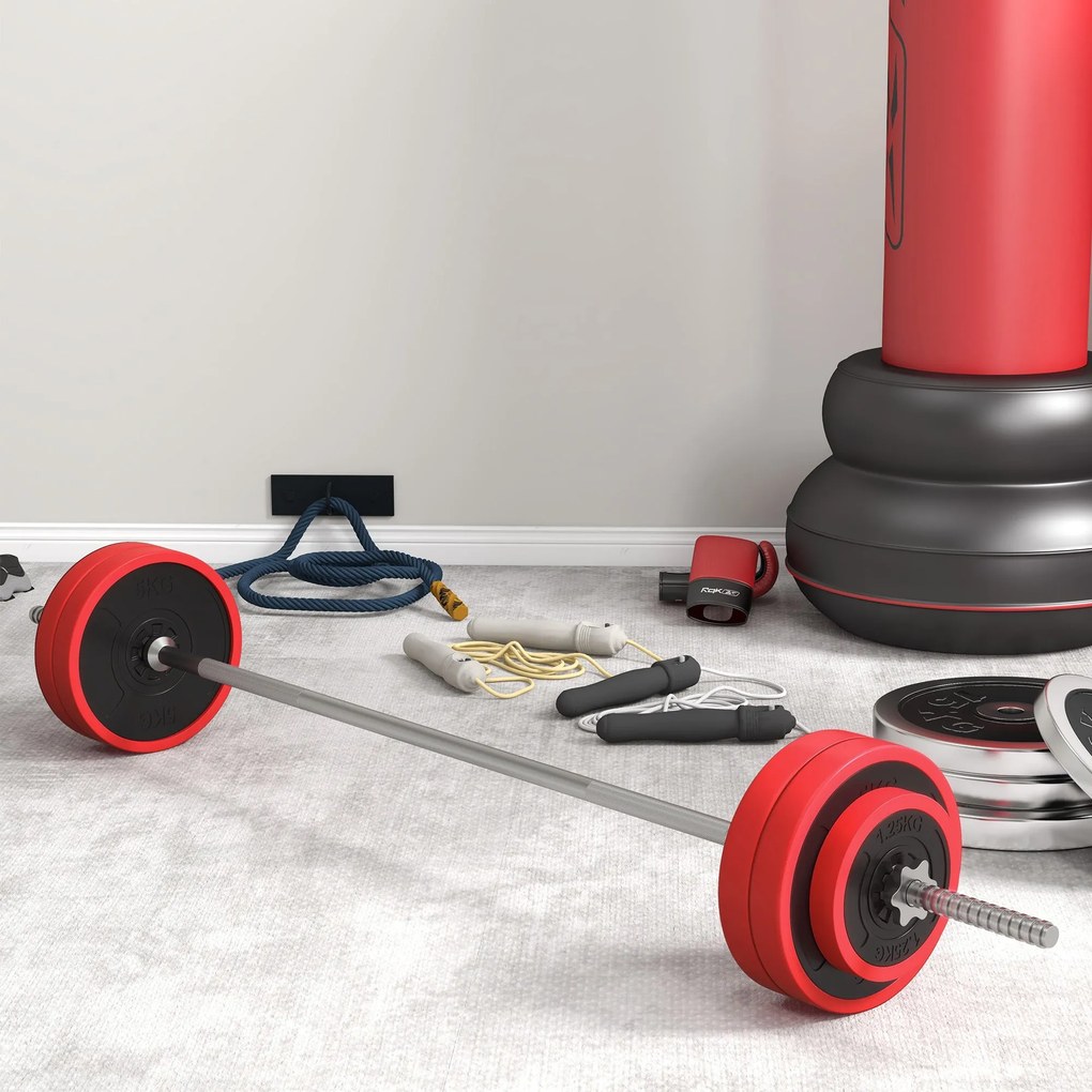 SPORTNOW Conjunto de Barra de Pesos 30 kg com Discos Conjunto de Muscu