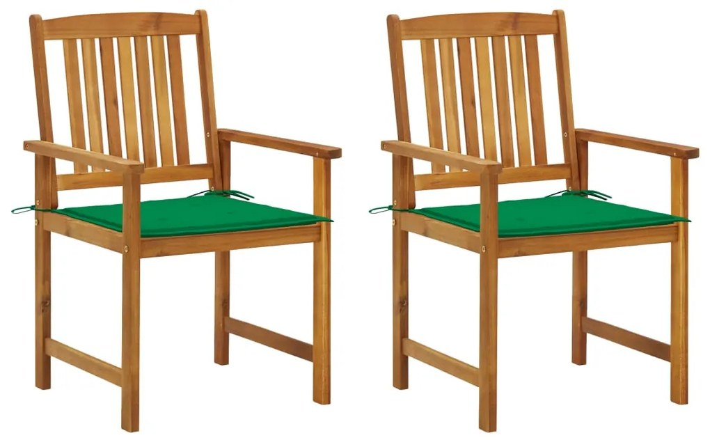 vidaXL Cadeiras de jardim com almofadões 2 pcs acácia maciça