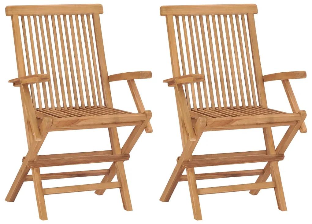 315443 vidaXL Cadeiras de jardim dobráveis 2 pcs madeira de teca maciça