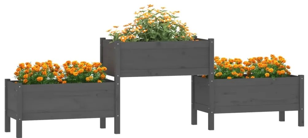 Vaso/floreira 245,5x44x75 cm pinho maciço cinzento