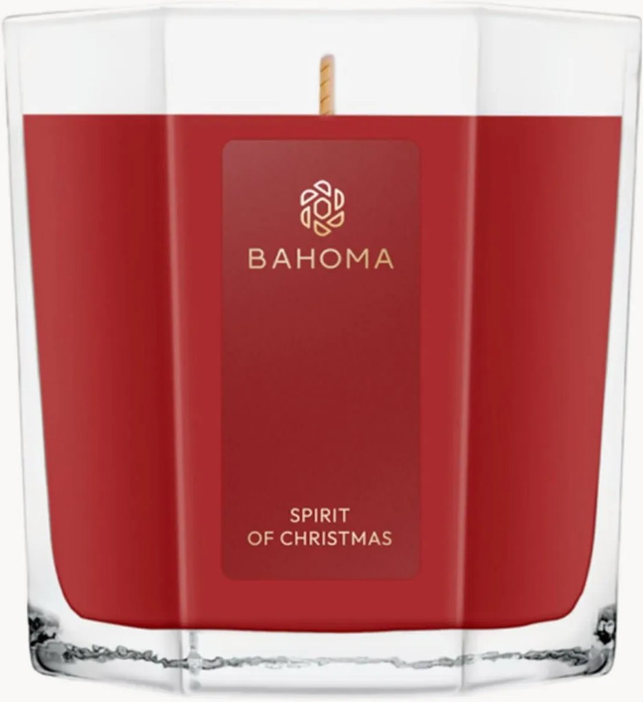Vela perfumada Spirit Of Christmas (groselha-preta, canela)
